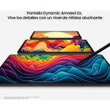 Samsung Galaxy Tab S9 - WiFi - 128GB - Graphite