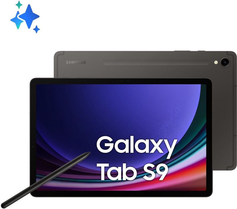 Samsung - Galaxy Tab S9 - Tablet - Grafiet - 256 GB - 12 GB RAM