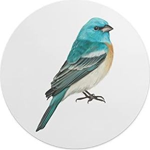 Questo Casa, Ronde digitaal bedrukte muismat, antislip onderkant, voor kantoor en thuis, diameter: 22 cm