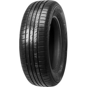 EcoWing ES31