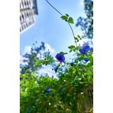 Samyang - AF 18mm F2.8 - Opzetlens - Objectief - Camera Lens