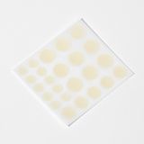 COSRX Acne Pimple Master