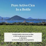 Mixsoon - Soondy Centella Asiatica Essence - 100ml - Kalmerend - Hydraterend