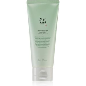 Beauty of Joseon Green Plum Refreshing Cleanser (100 ml)
