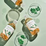 Round Lab - Mugwort Calming Toner - 300 ml - Bijvoet Extract