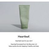 Abib - Acne Foam Cleanser - Gezichtsreiniger - Groene Bladeren - 150ml