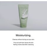 Abib - Acne Foam Cleanser - Gezichtsreiniger - Groene Bladeren - 150ml