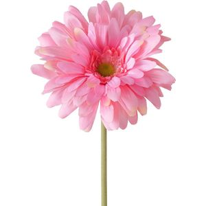Steelbloem 65 cm Gerbera roze