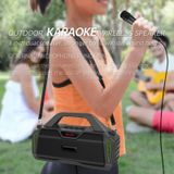 New Rixing NR-6011M Bluetooth 5.0 Portable Outdoor Karaoke Wireless Bluetooth Speaker with Microphone & Shoulder Strap(Green)