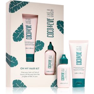 Coco & Eve - Oh my hair kit Zelfbruiner
