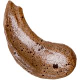 Bali Bronzing Kit - 200ml Bronzing Foam - Deluxe Vegan Kabuki Brush - Soft Velvet Mitt