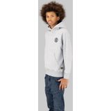 Bren Hooded Sweater voor jongens - Grijs - jongens