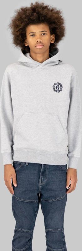 Bren Hooded Sweater voor jongens - Grijs - jongens