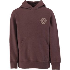 Bren Hooded Sweater voor jongens - Bruin - jongens