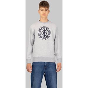 ALD - Crew Sweater - Grijs - Jongens