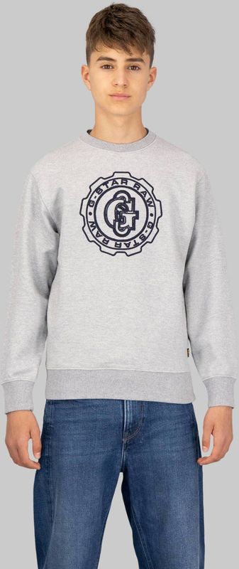 ALD - Crew Sweater - Grijs - Jongens