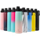 SOLARA Roestvrijstalen waterfles met rietje | geïsoleerde waterflessen | drinkflessen voor volwassenen | metalen waterfles met rietje en sportdeksel (Roze Wintertaling, 650ml / 22oz)