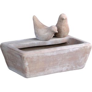 vogelbad rechthoekig mterra