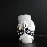 Stiel Muay Thai Short- Broekje - Wit / Goud / Zilver