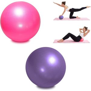 2 x Pilates Bal 9"" Kleine Oefenbal Stabiliteitsbal Yoga Barre Core Training Fysiotherapie met Opblaasbaar Rietje