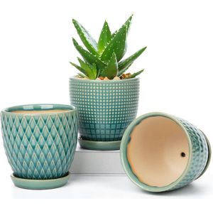 Bloempot Keramische Plantenpotten Set van 3 Ronde Vetplantenpot Klein met Afvoergat en Keramische Kom voor Vetplanten Cactus Binnen Buiten Tuin Thuis Vensterbank Diameter 11.2 cm