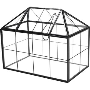 Terrarium mini-broeikas, glas, geometrische plant, terrarium, vetplanten, luchtplantenpot met klapdeksel, voor thuis, tuin, kantoor, decoratie