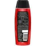 Fa - Men Attraction Force - Douchegel - Bergamot - Limoen - 2-in-1