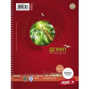 Ursus Collegeblock green Kleinformat Lineatur 5 kariert DIN A5 Innenrand