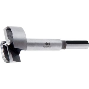 Fisch-Tools Houtboor | d. 45 mm totale lengte 90 mm | schacht-d. 10 mm | 1 stuk - 031704500 031704500