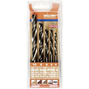 Alpen 600114100 Hout-spiraalboorset 5-delig 4 mm, 5 mm, 6 mm, 8 mm, 10 mm Cilinderschacht 1 set(s)