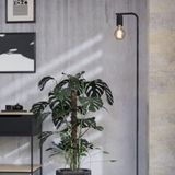 EGLO - Cranley - Vloerlamp - Zwart - Staal - 148,5 cm