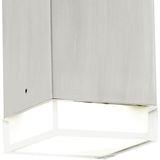 EGLO Tabo-Led - Buitenverlichting - Wandlamp - 2 Lichts - LED - RVS