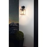 EGLO Buitenwandlamp Trecate, 1 lichtpunt, wandlamp van verzinkt staal, kleur: zwart, glas: helder, fitting: E27, IP44