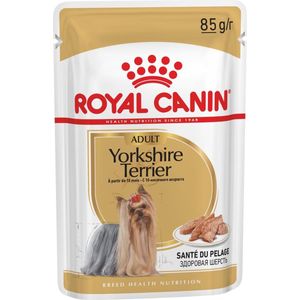 Royal Canin Yorkshire Terrier Adult Mousse - Sparpaket: 24 x 85 g