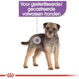 Royal Canin CCN Sterilised Loaf dog 12x85g
