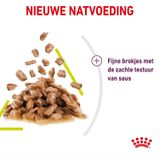 Royal Canin Sensory Multipack Smell In Gravy Kattenvoer g
