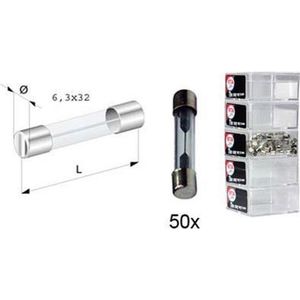glas zekering rapid type 10A 6x32 mm 50 stuks in een doosje