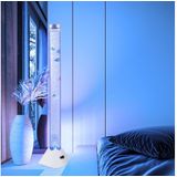 LED Wassersäule, Kunststoff klar, 5x Deko-Fische, H 120 cm