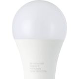 EGLO - LED Lichtbron - Warm Wit Licht - Melkkleurig Glas - E27 Fitting