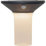 EGLO Corbezzola Wandlamp Buiten - Solar - Zonne-energie - LED - 16 cm - Sensor - Grafiet/Wit