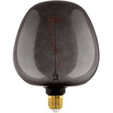 EGLO - G190 - LED Lamp - Zwart - E27 - Ø 19 cm - 2000K - Dimbaar