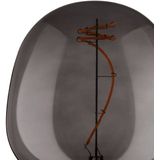 EGLO - LED Lichtbron - Zwart Glas - Dimbaar - E27 Fitting - 2000K