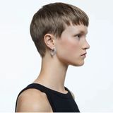 Swarovski - Millenia - Oorringen - Clear White - Sieraden