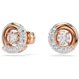 Swarovski - Dextera - Oorknoppen - Roségoud - Swarovski Kristallen