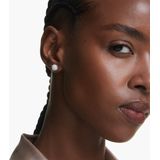 Swarovski - Dextera - Oorknopjes - Zilverkleur - Kristal