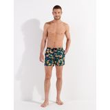 HOM Flamingo zwembroek, Roze Vlaamse Print Marine Achtergrond, S