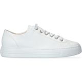 Sneakers - Effen - Leer - Vetering met 6 Gaten - Platte Hak