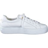 Sneakers - Effen - Leer - Vetering met 6 Gaten - Middelhoge Hak