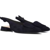 Ballerina - Pumps - Effen - Leer/Suède - Spitse Neus - Blokhak