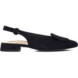 Ballerina - Pumps - Effen - Leer/Suède - Spitse Neus - Blokhak